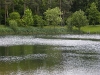 Waldsee- Schwimmbad